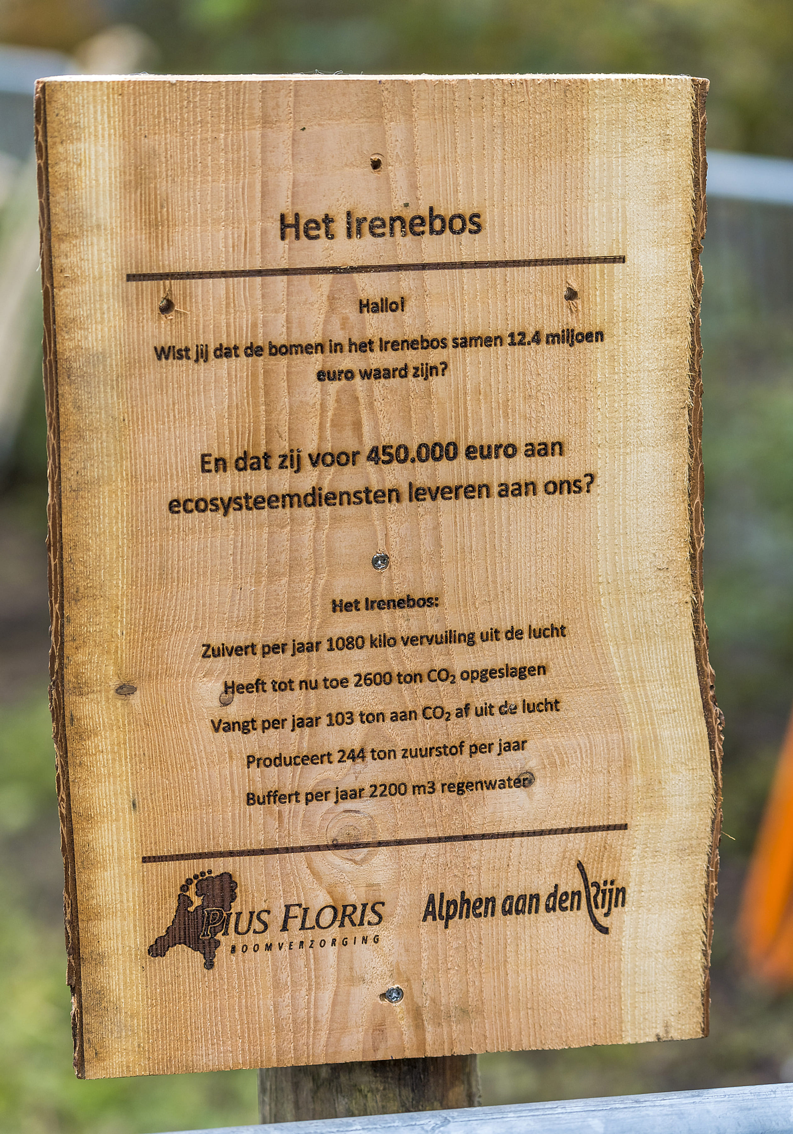 Prinses_Irenebos.jpg
