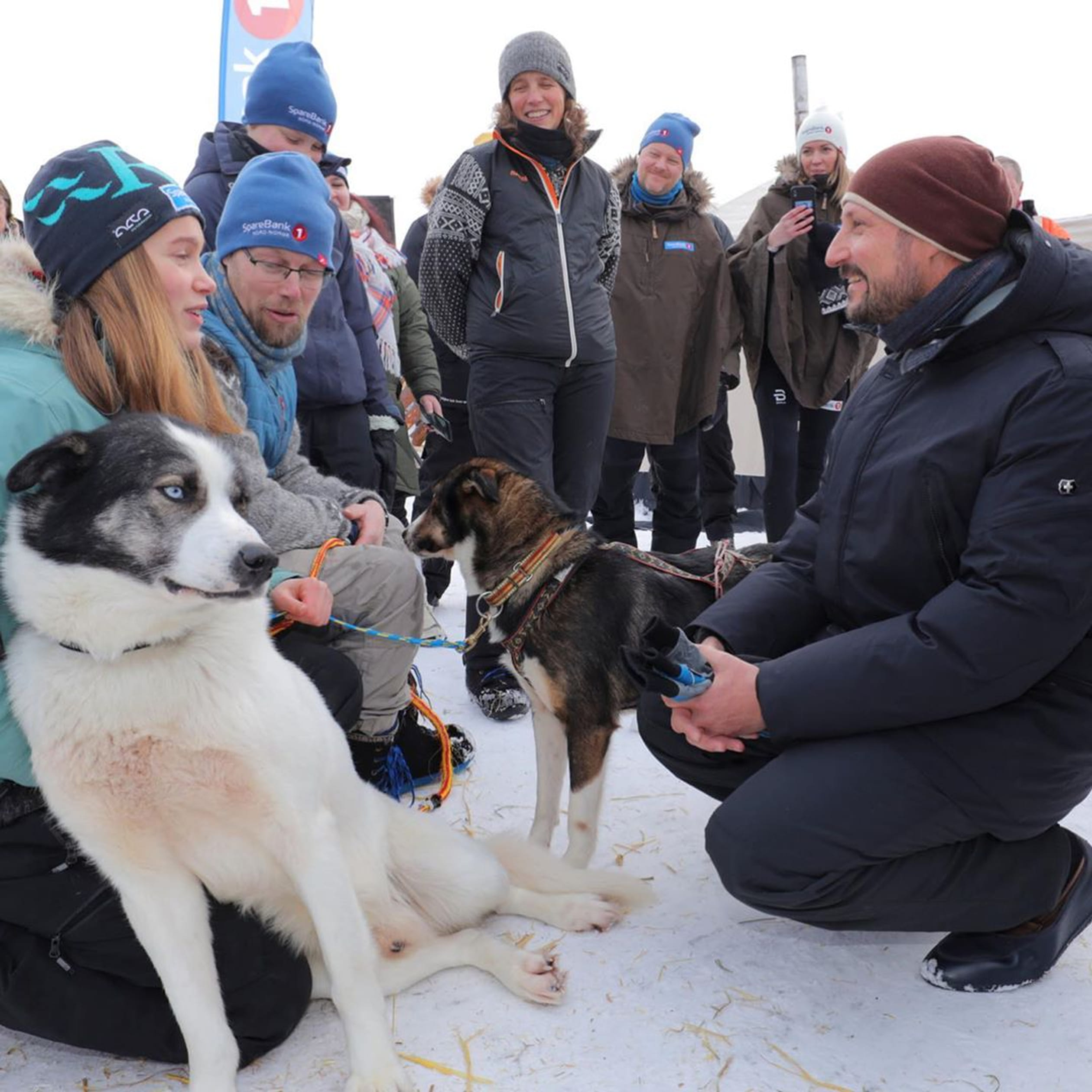 Haakon_honden_2.jpg