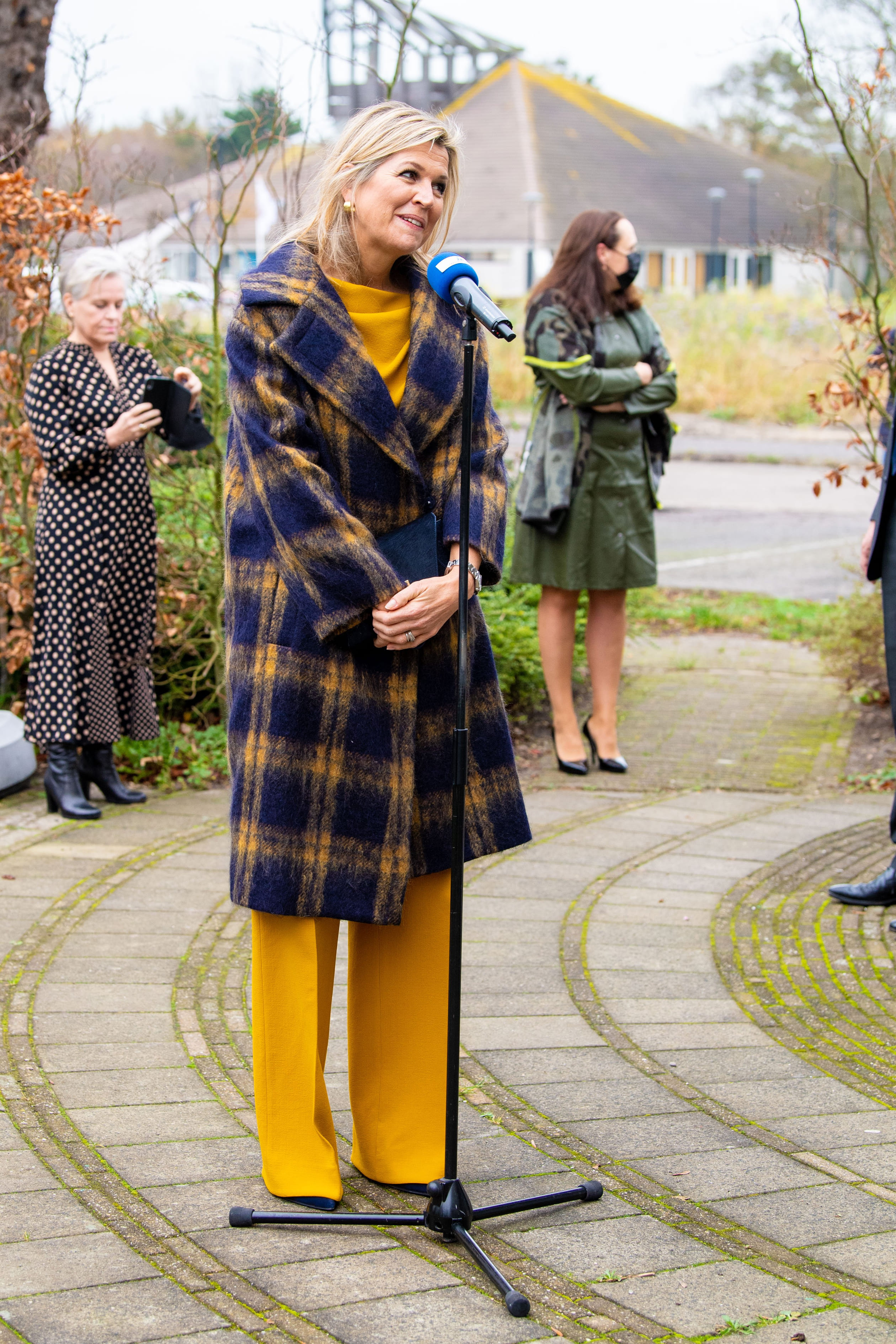 Maxima_november_3a.jpg
