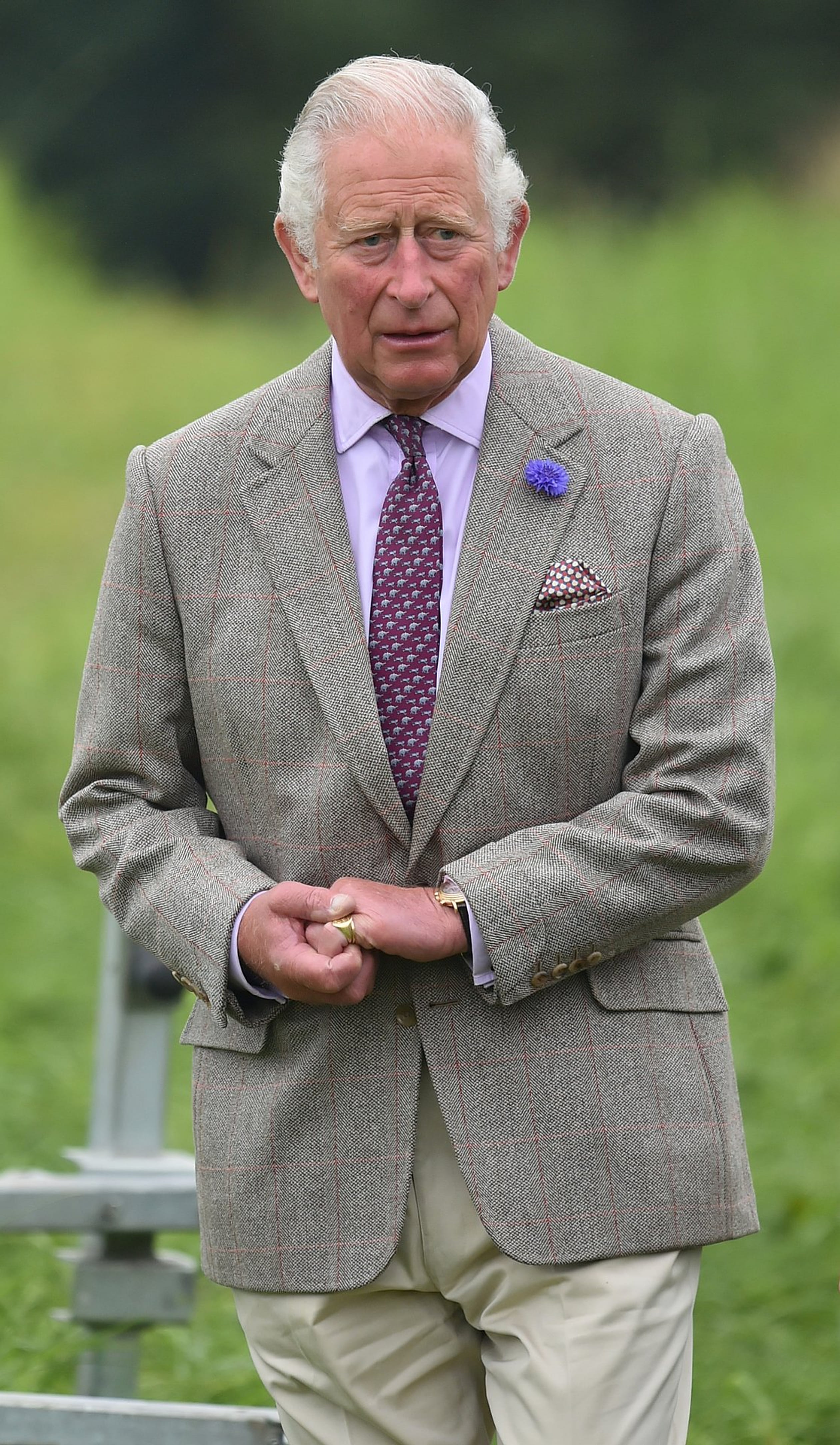 Prins_Charles.jpg