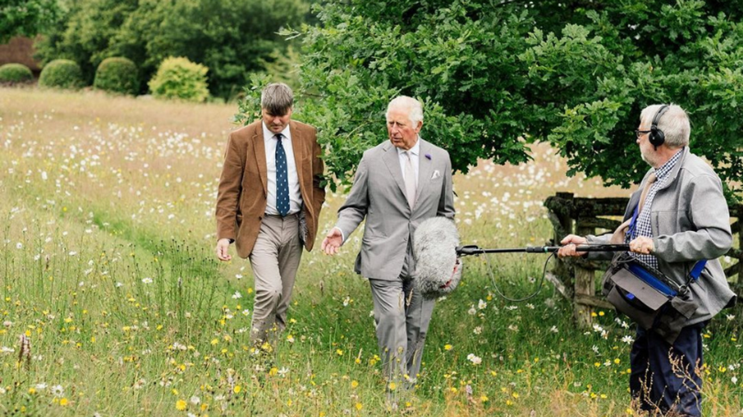 Prins_Charles_grasveld.png