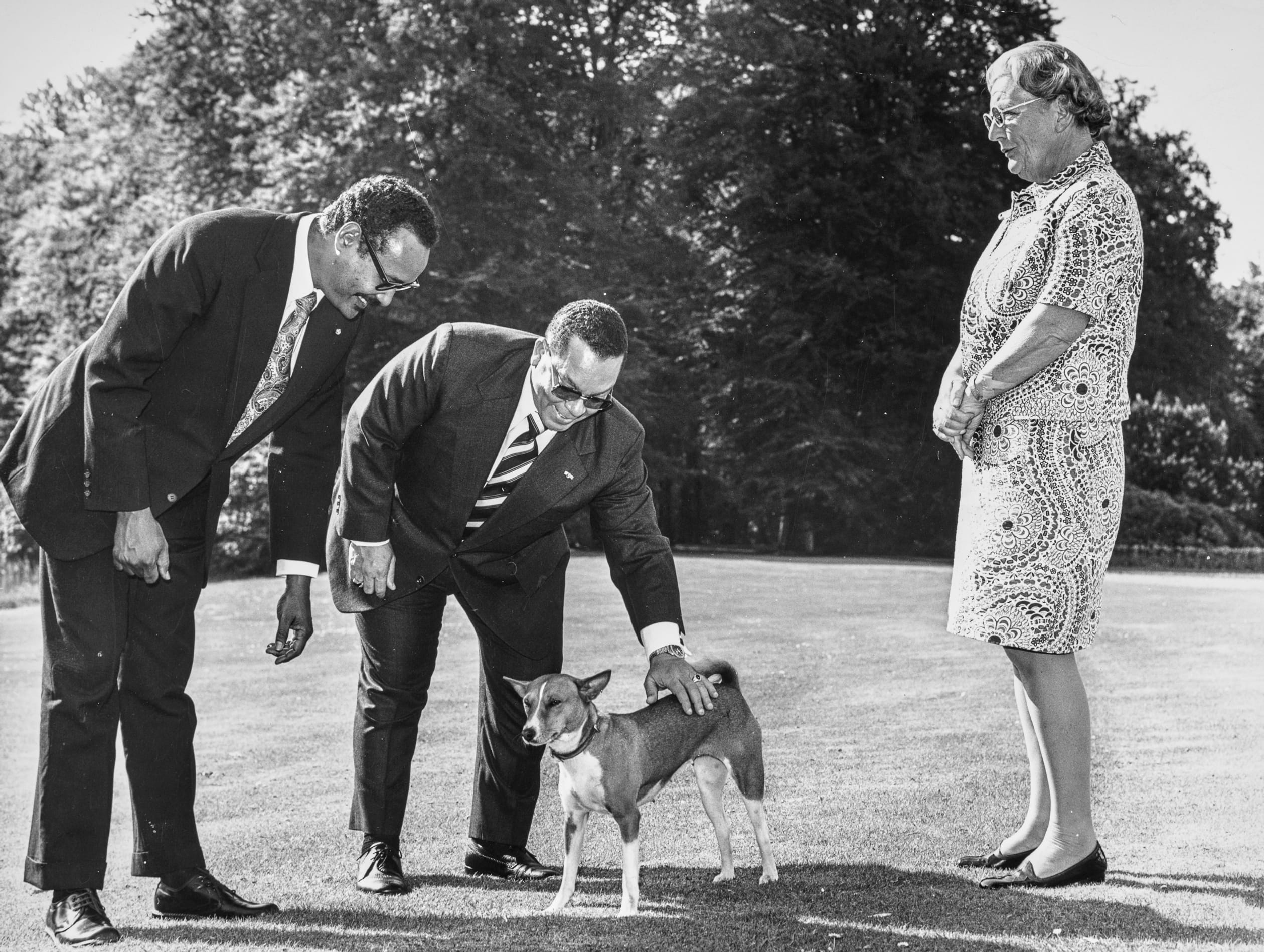 Prinses_Juliana_hond_5_.jpg