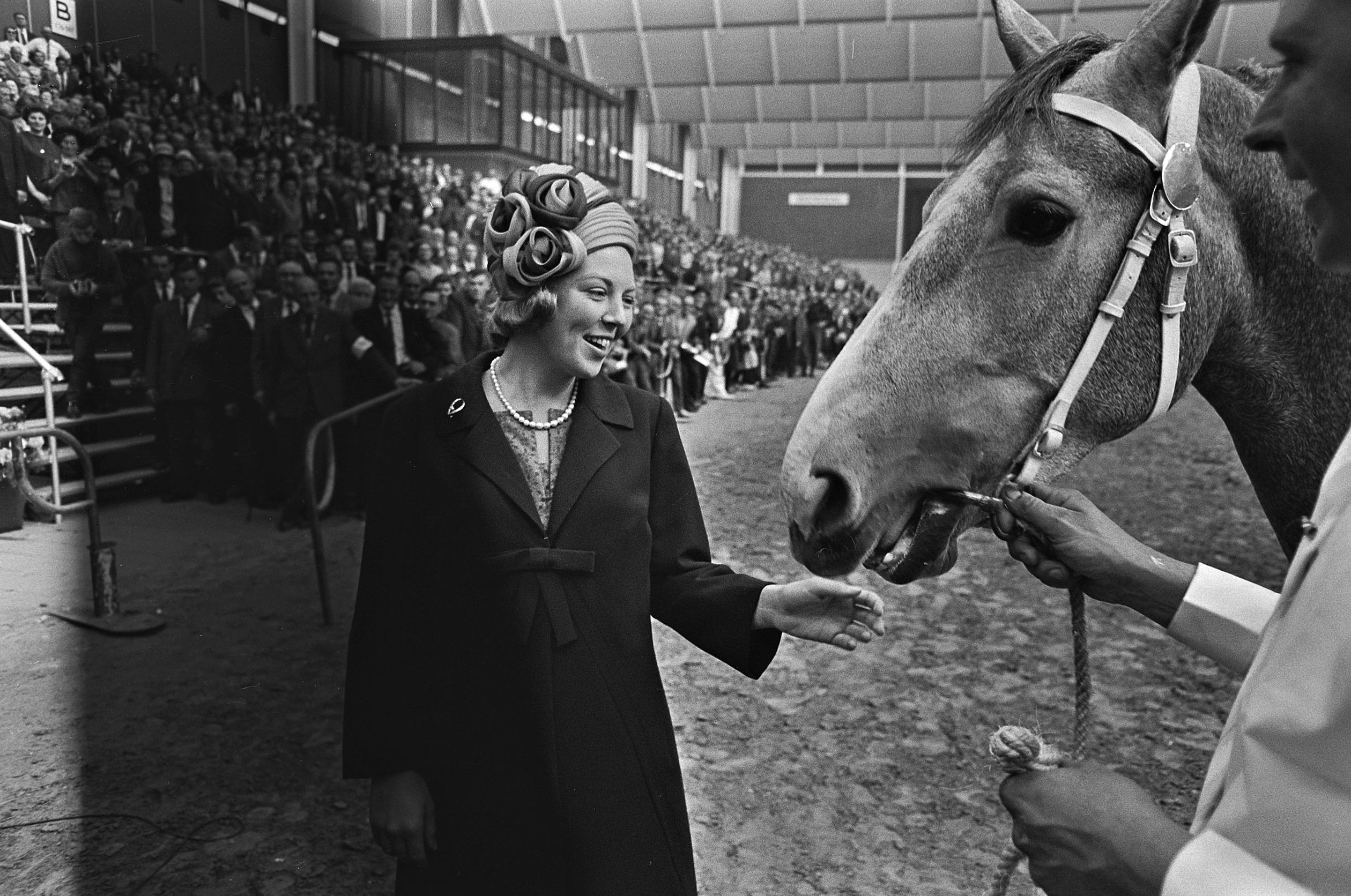 Prinses Beatrix bij een paardenevenement in 1964.