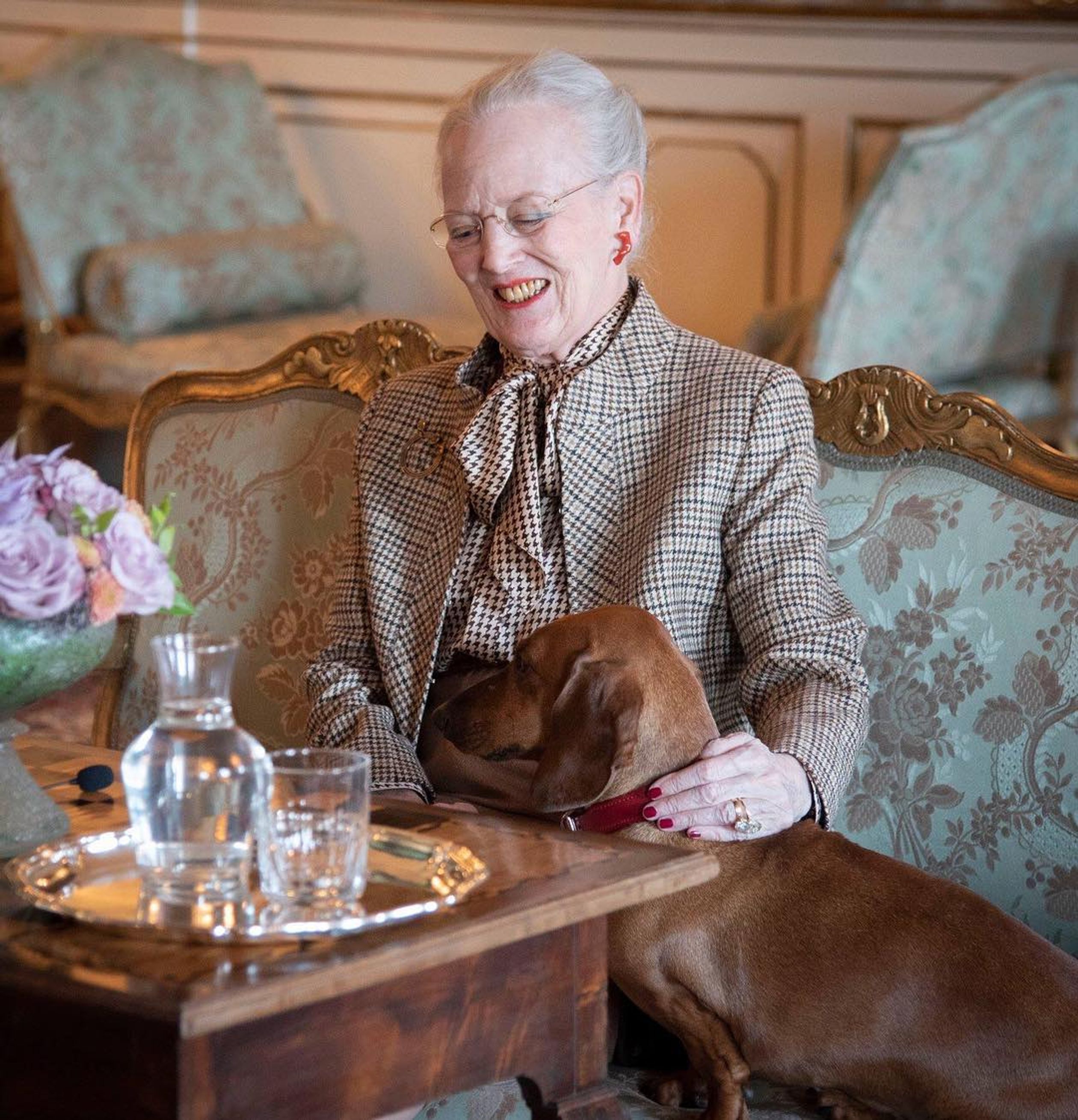 De Deense koningin Margrethe is al haar hele leven verknocht aan teckels. Ze vergezellen haar bijna
