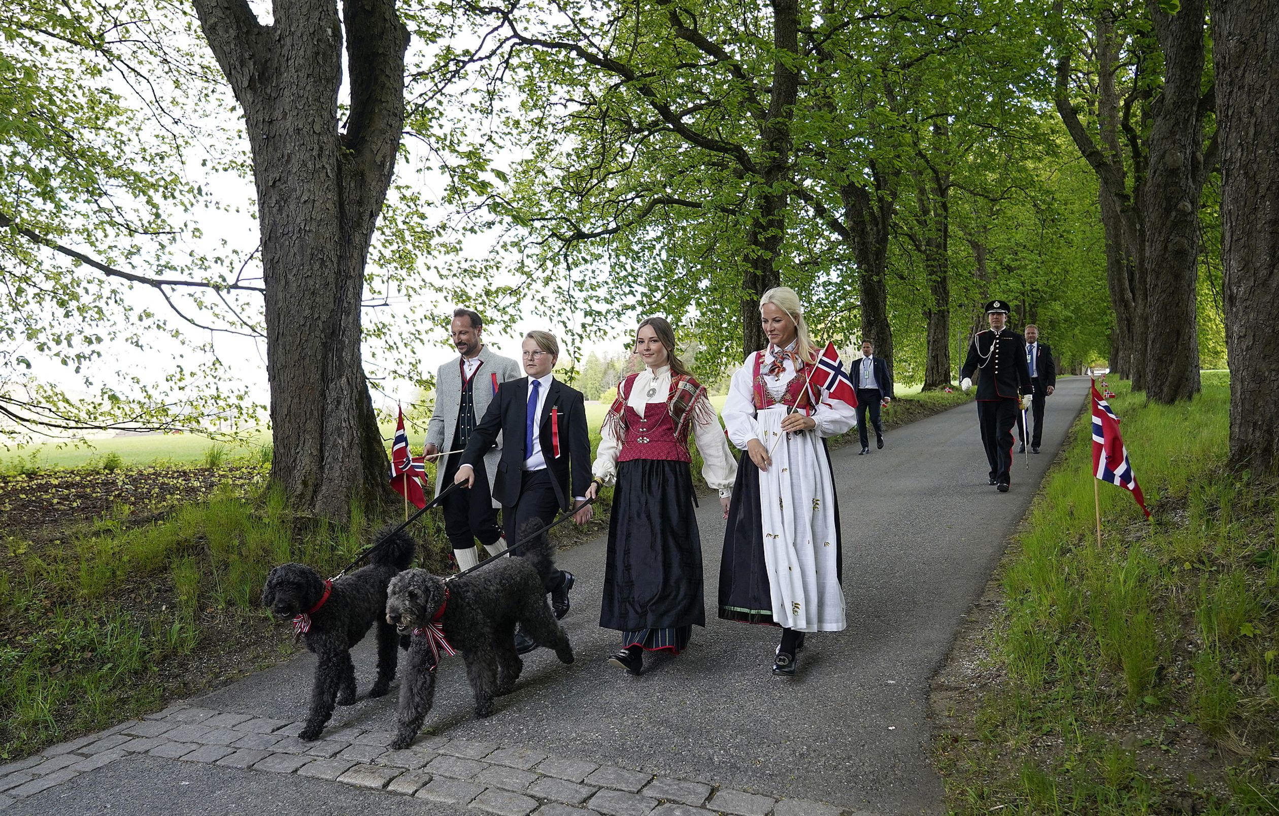 De labradoodles ontbreken niet tijdens de nationale feestdag van Noorwegen op 17 mei.