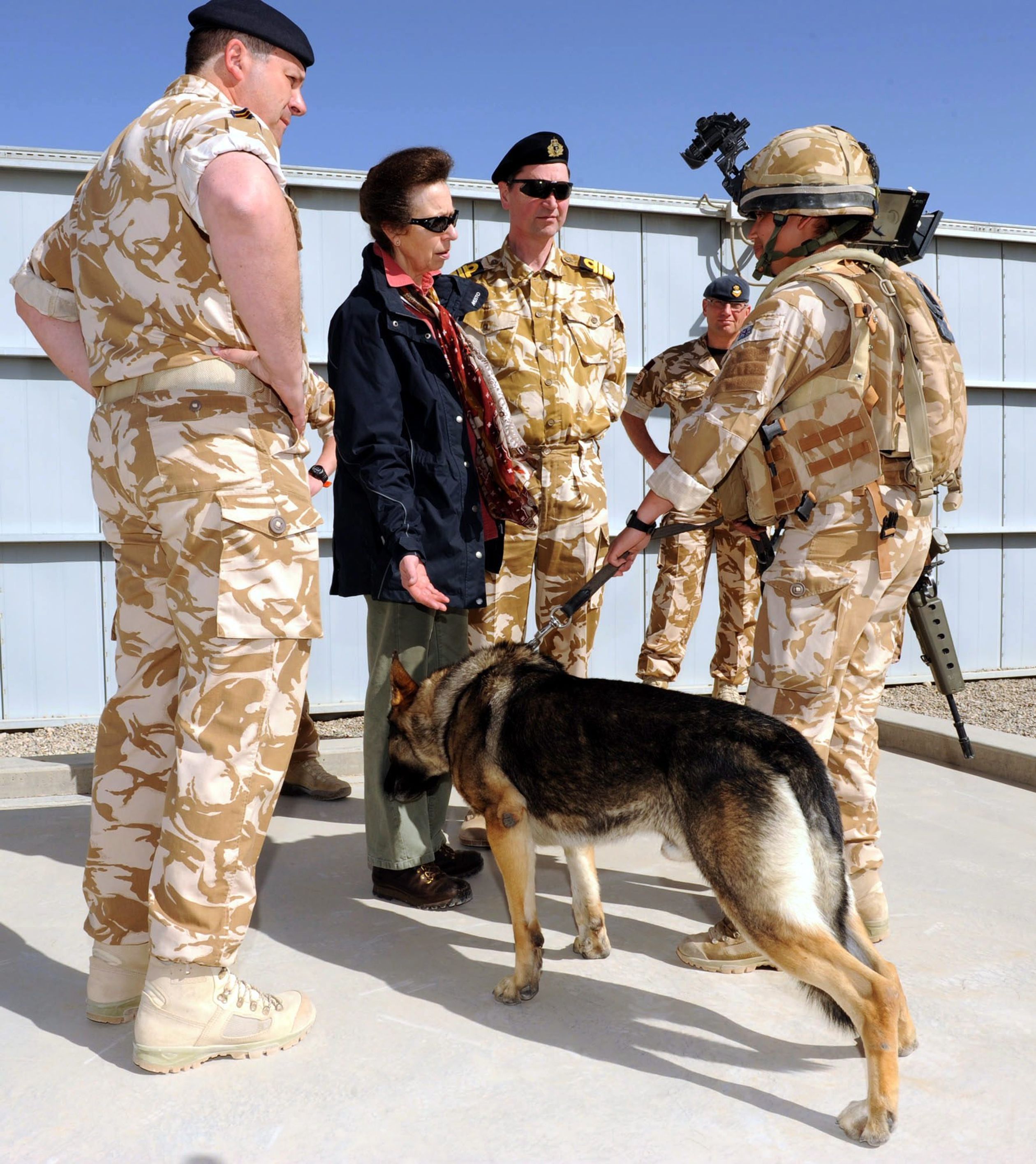 Anne ontmoet hondengeleiders van het Royal Army Veterinary Corps en hun werkhonden, terwijl ze