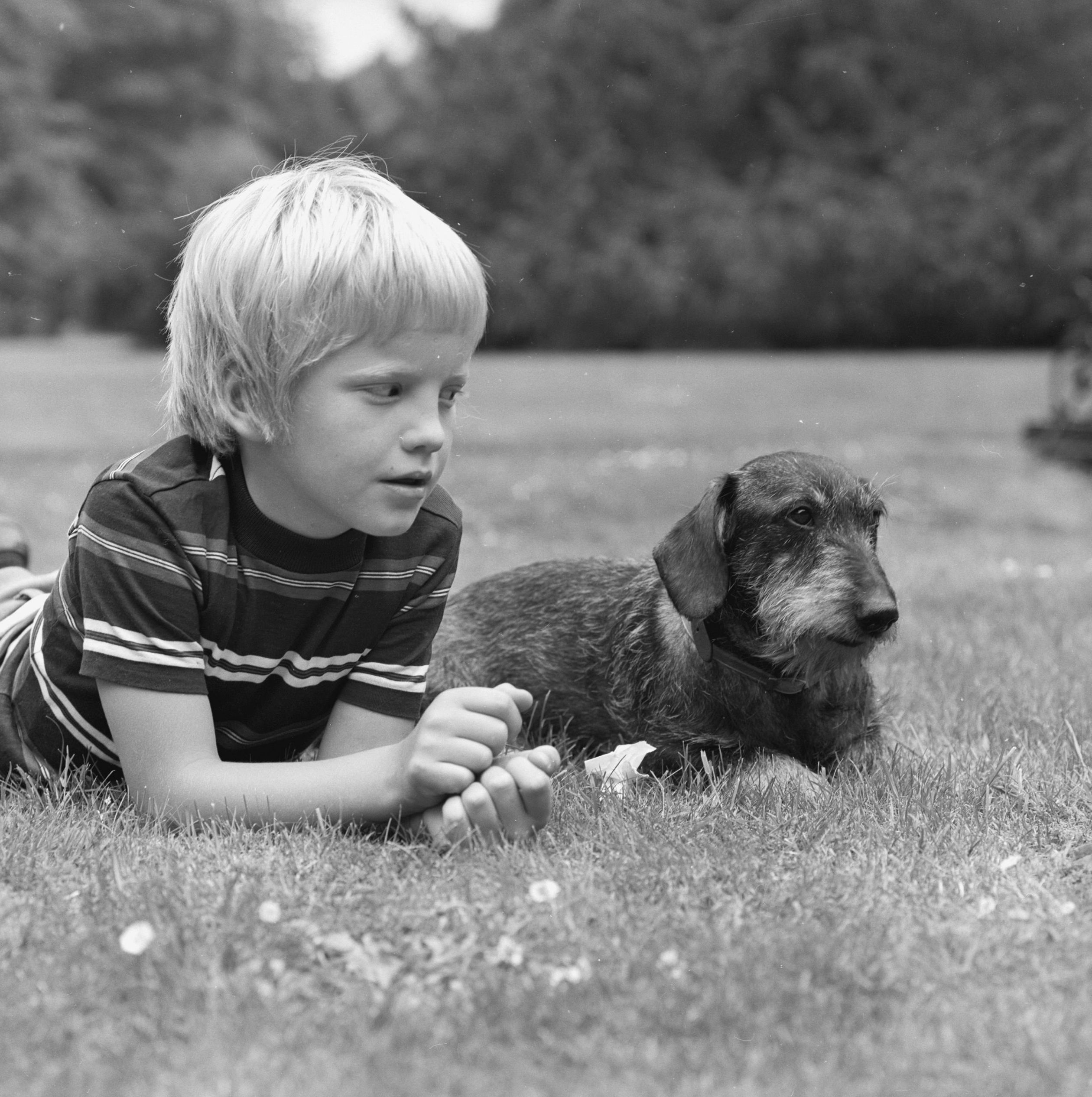 1980: Blijft de hond liggen tijdens de fotoshoot? De prins houdt een oogje in het zeil. (Foto: Max