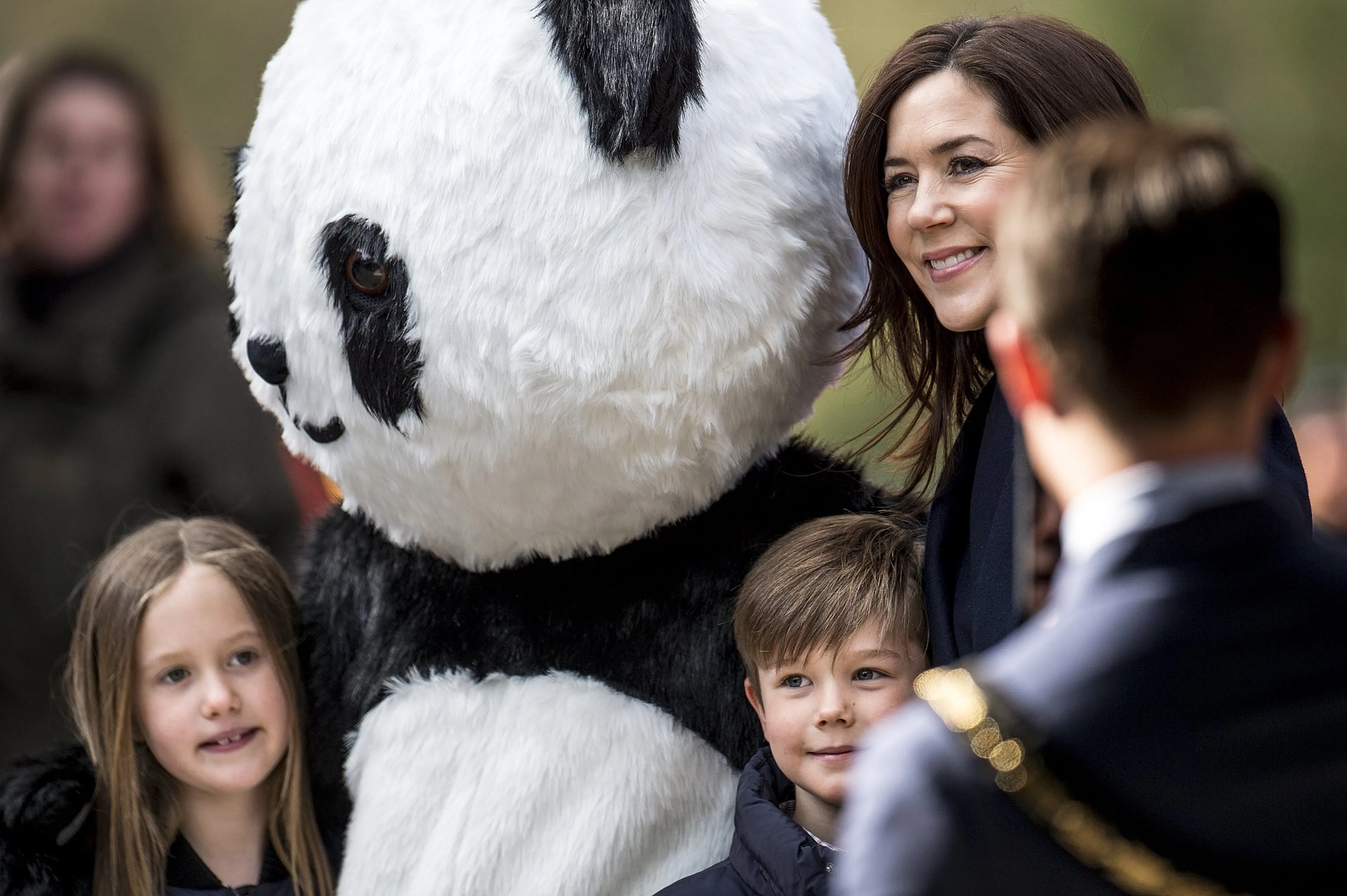 Uitgelichte afbeelding