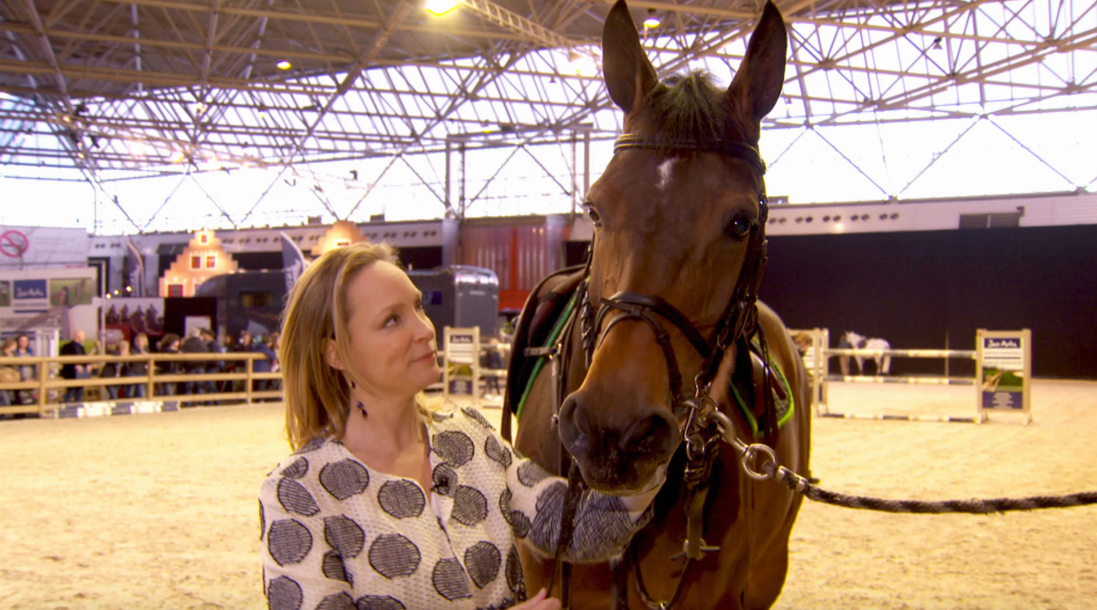 Uitgelichte afbeelding