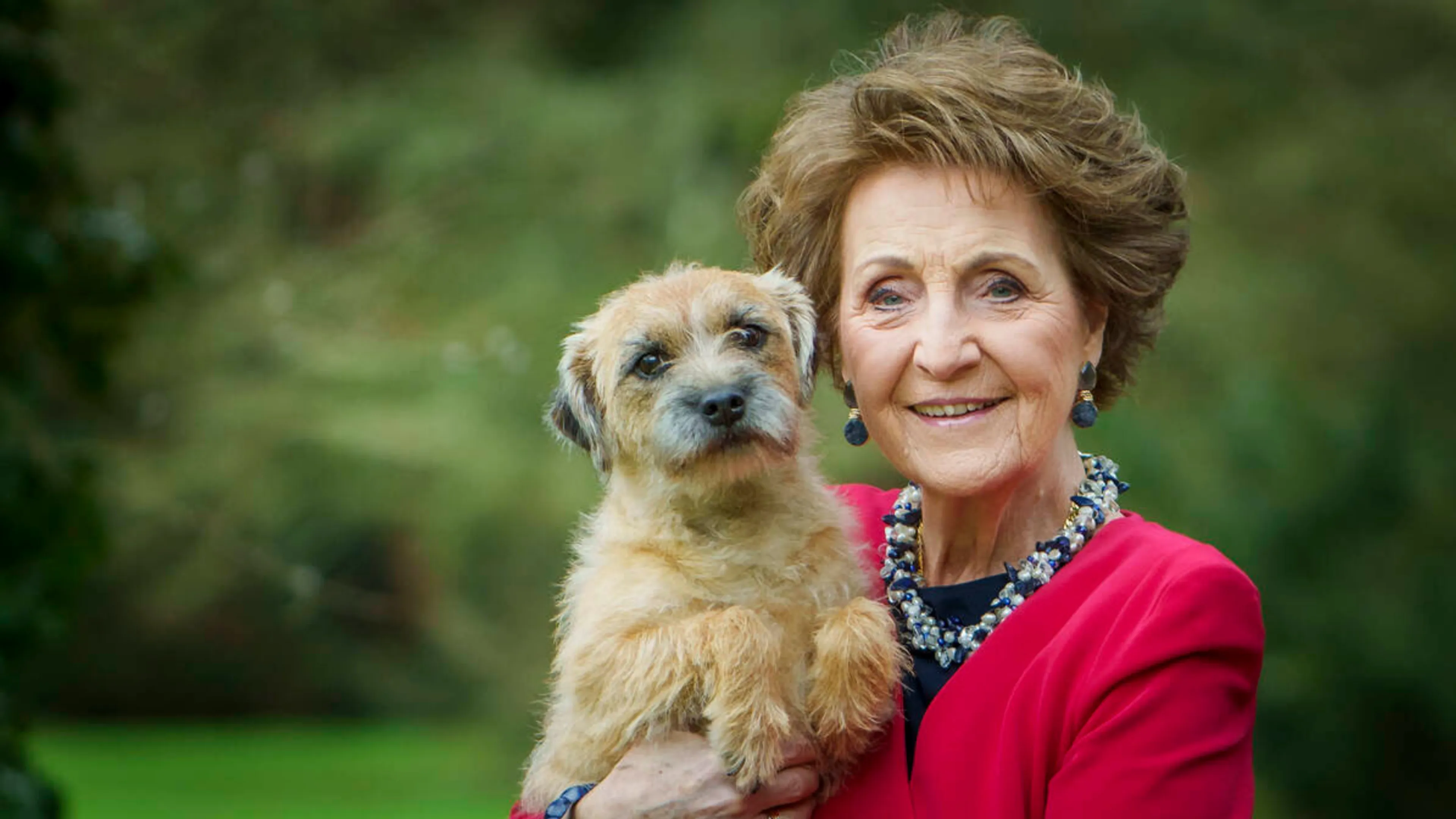 Uitgelichte afbeelding