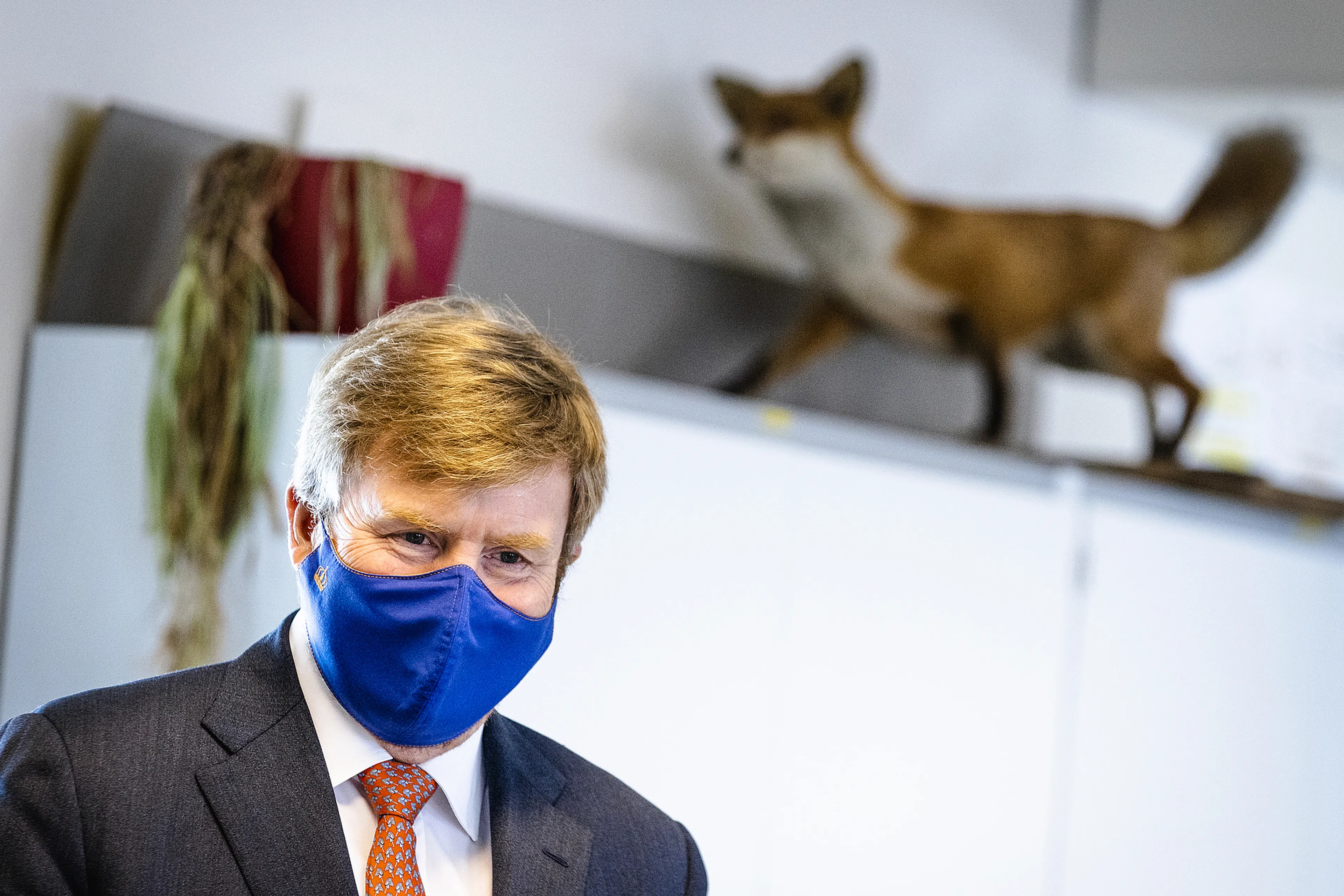 Uitgelichte afbeelding