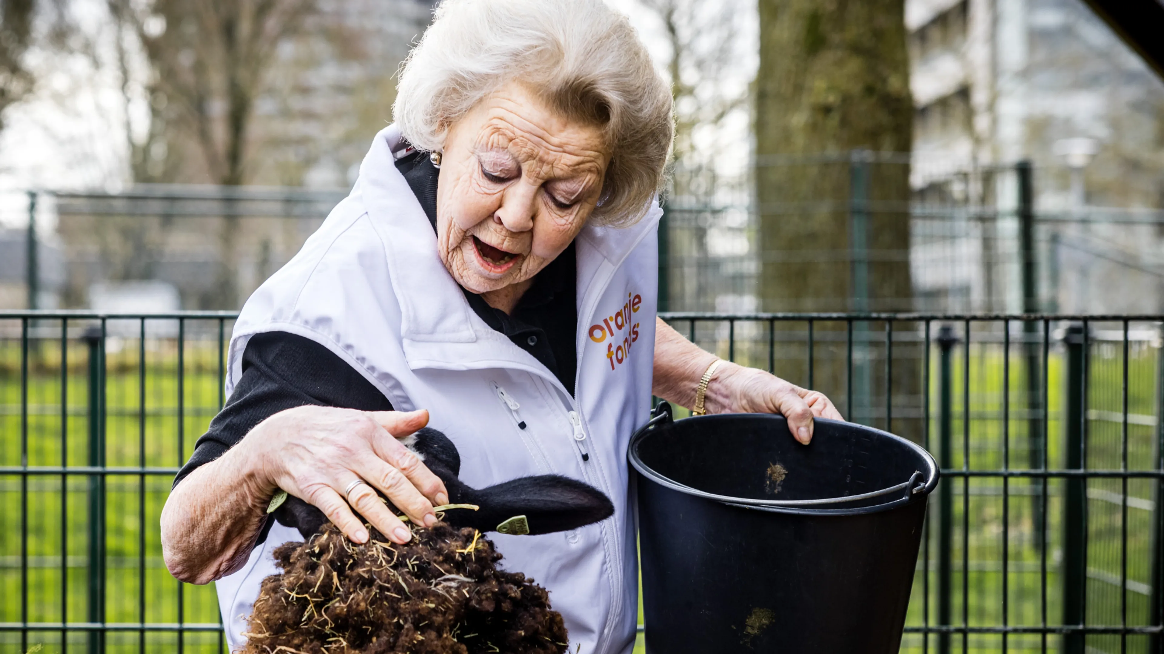 Uitgelichte afbeelding