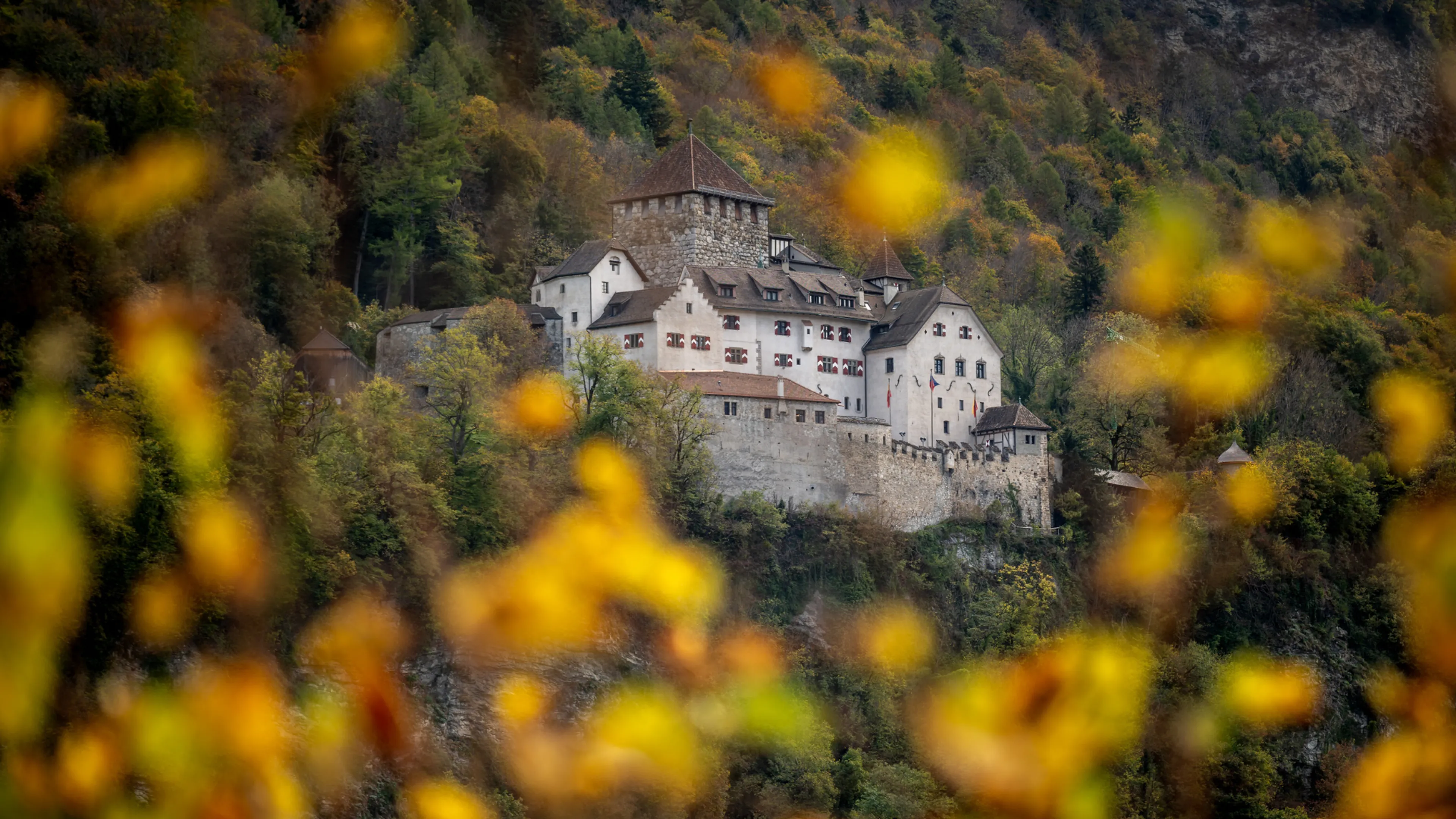 Uitgelichte afbeelding