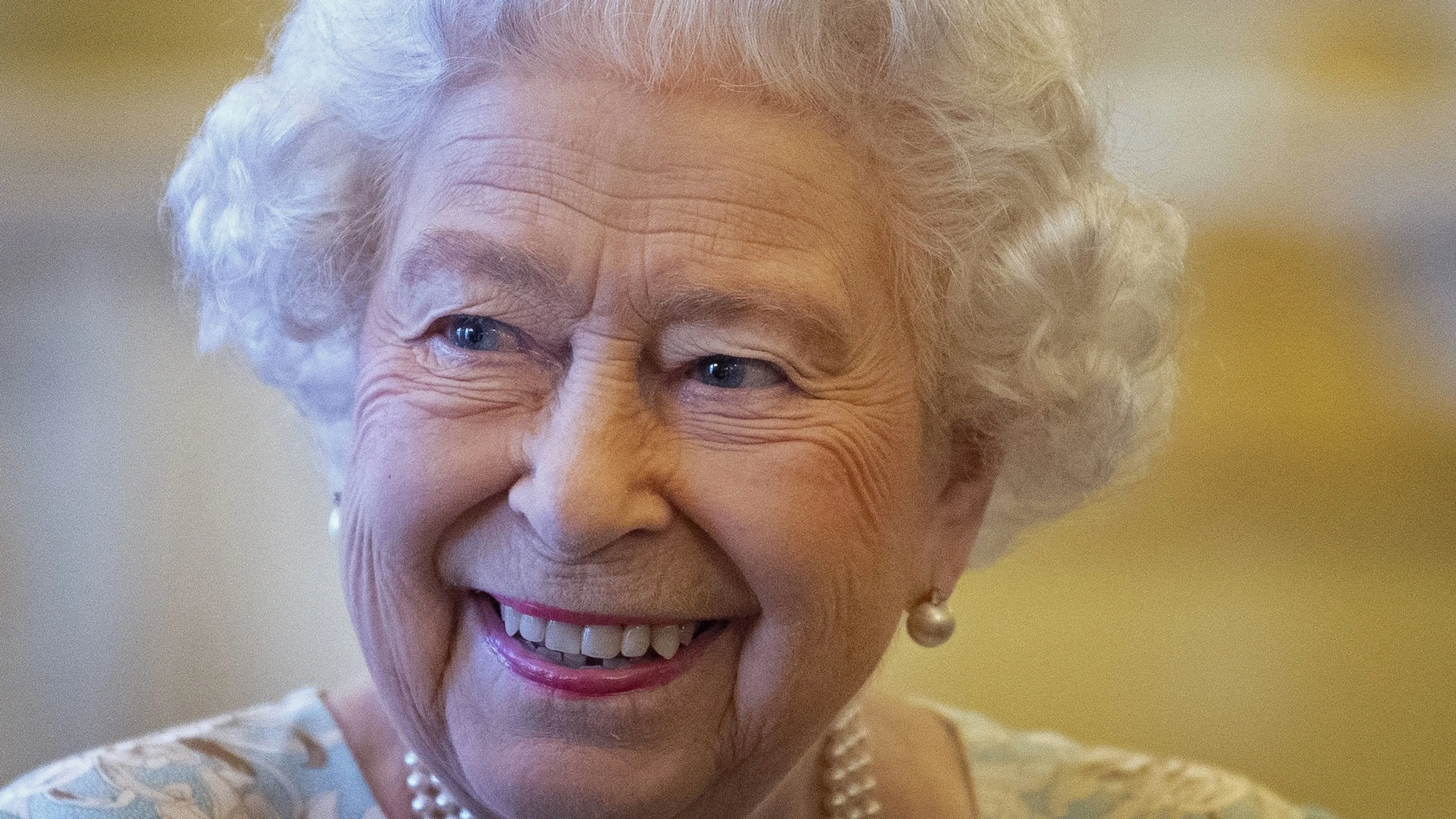 'Elizabeth heeft twee puppy's in huis gehaald'