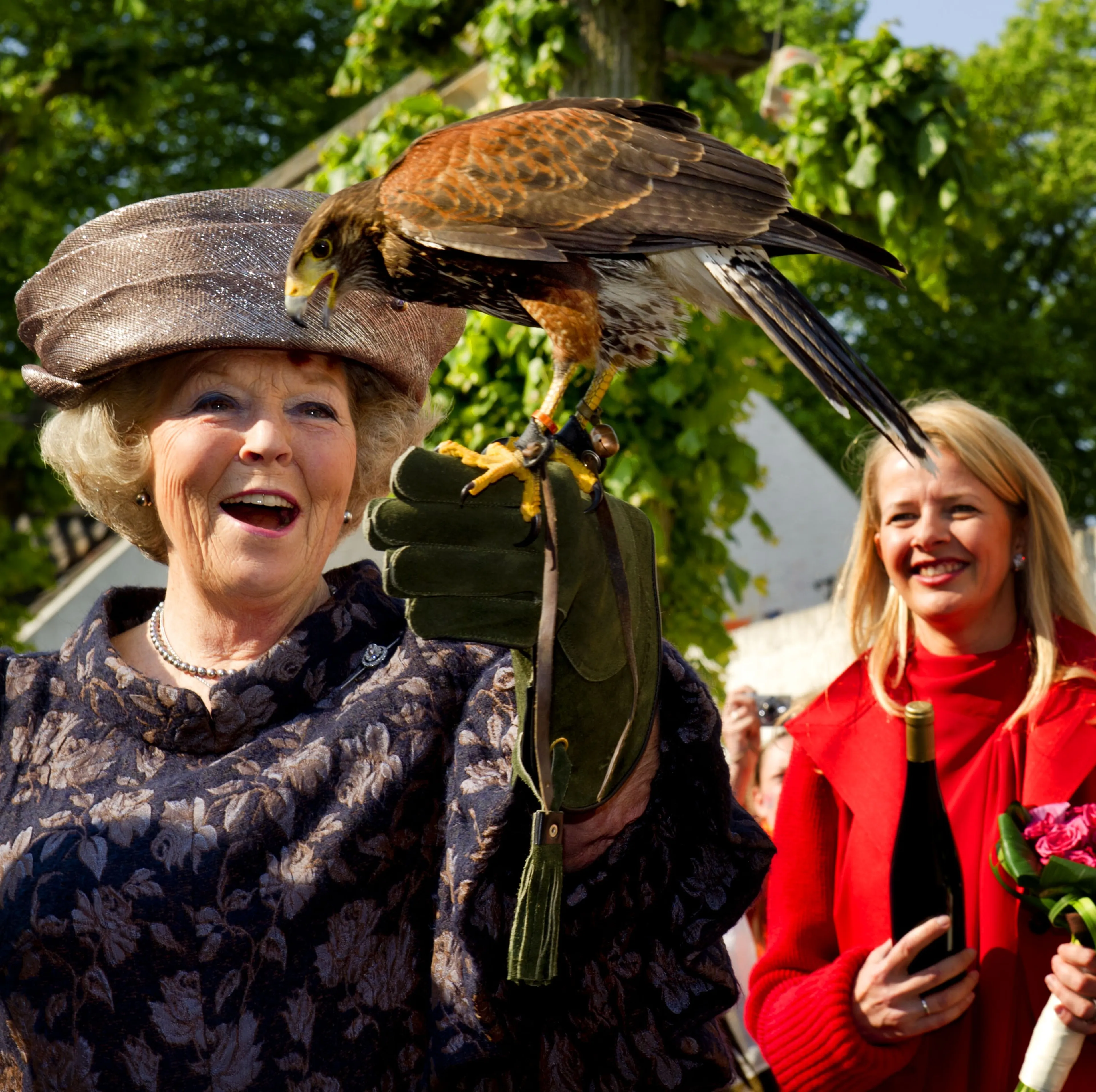 Op Koninginnedag 2011 ontmoet koningin Beatrix een woestijnhavik. Prinses Mabel bekijkt het tafereel op veilige afstand.