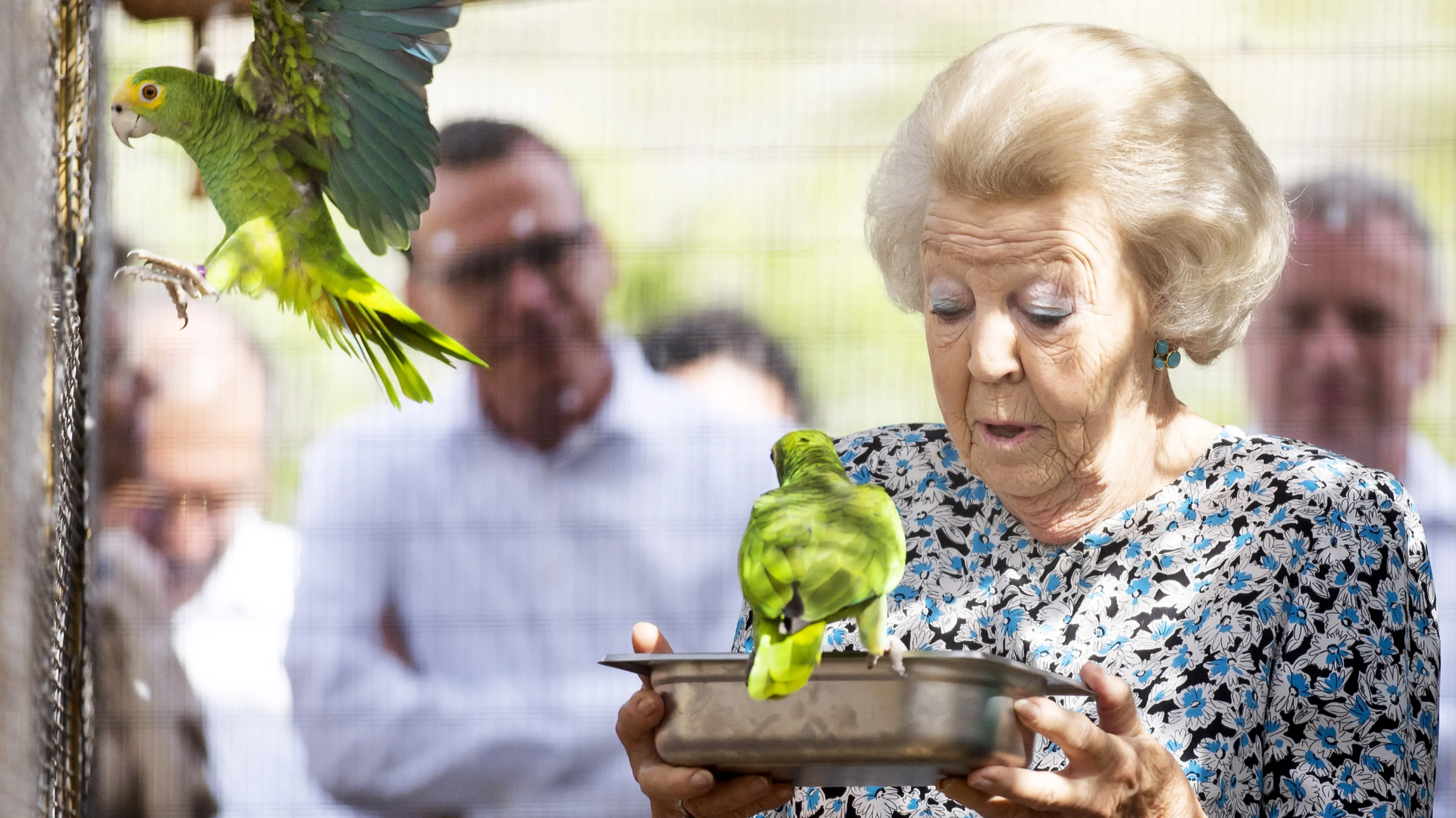 Uitgelichte afbeelding