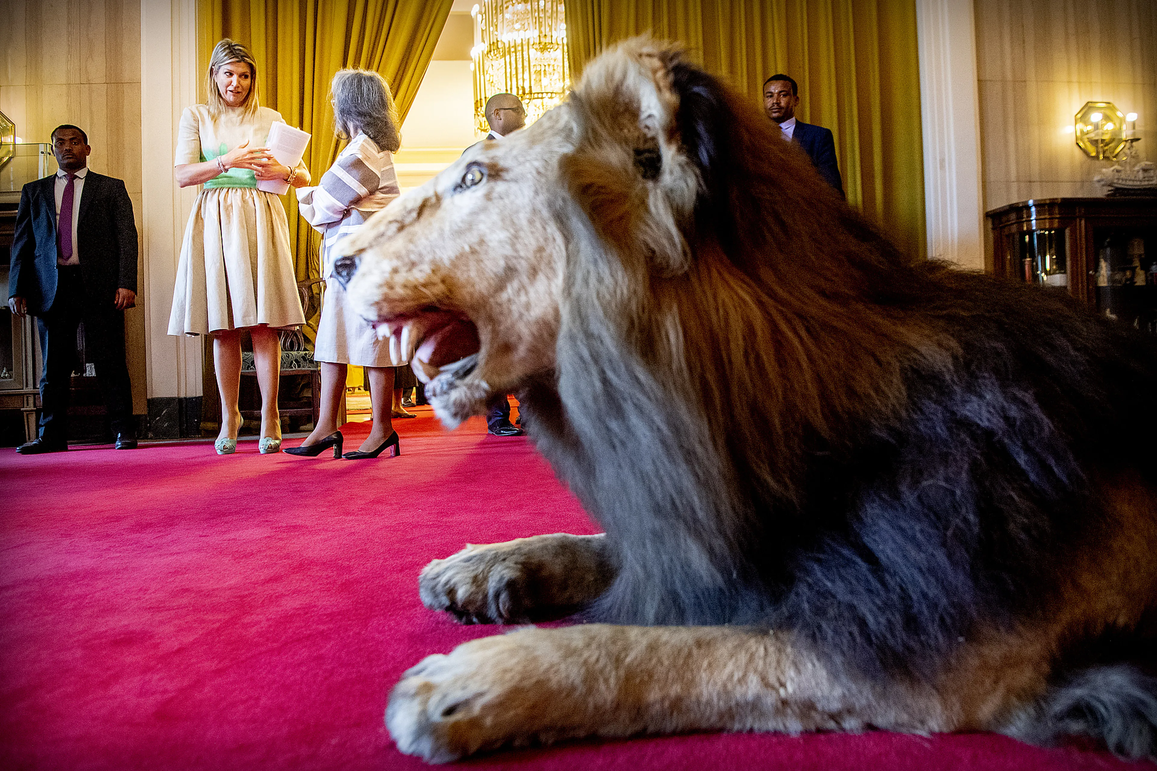 Uitgelichte afbeelding