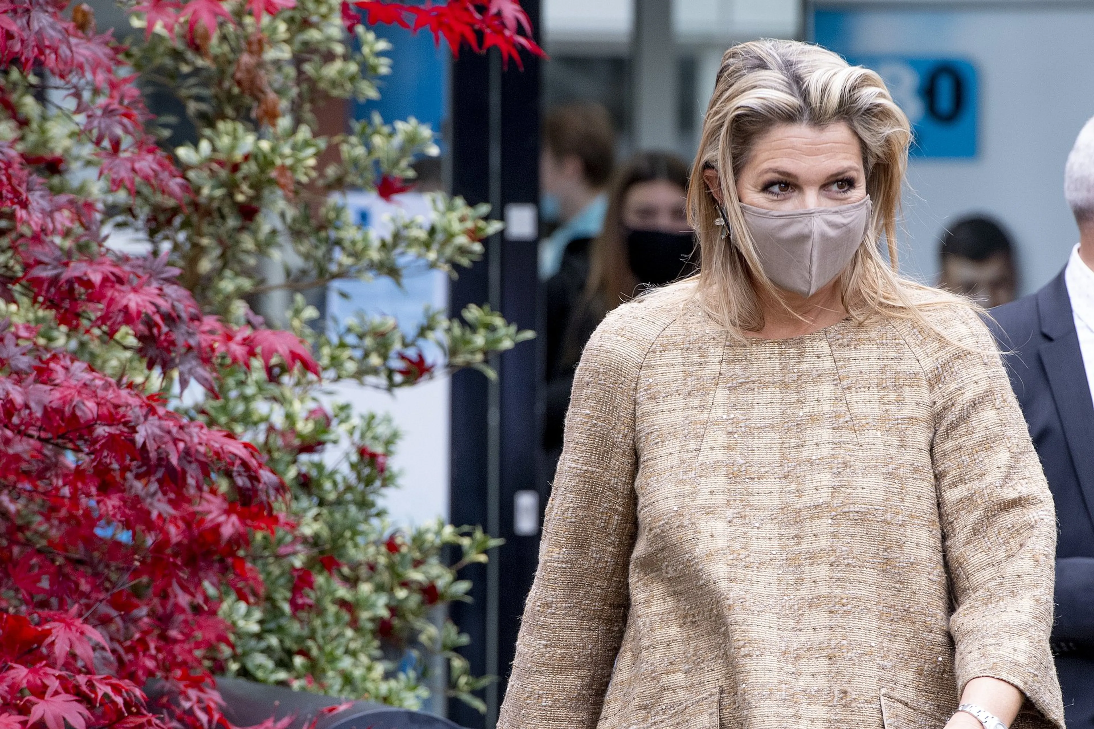 Uitgelichte afbeelding