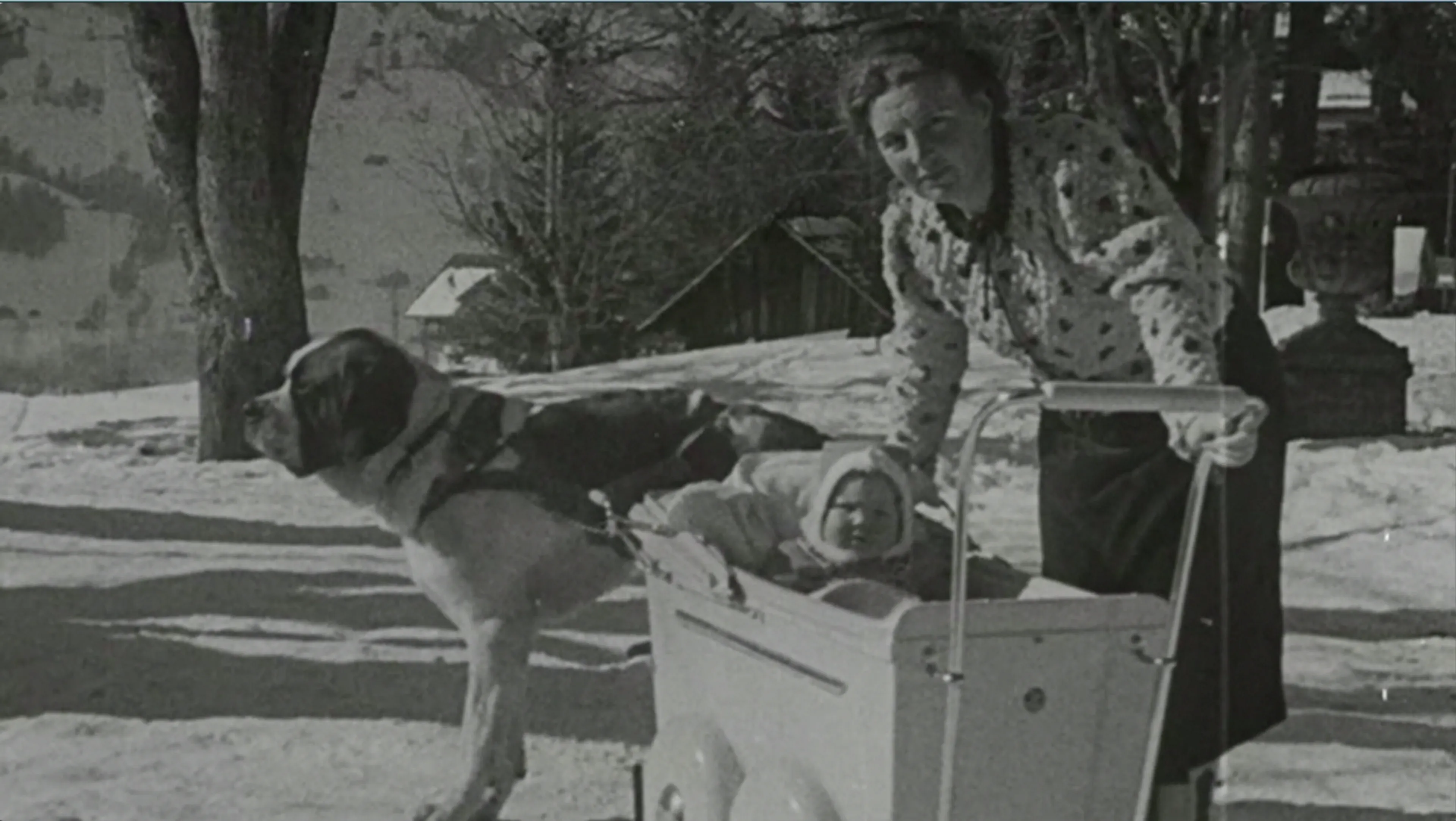 Uitgelichte afbeelding