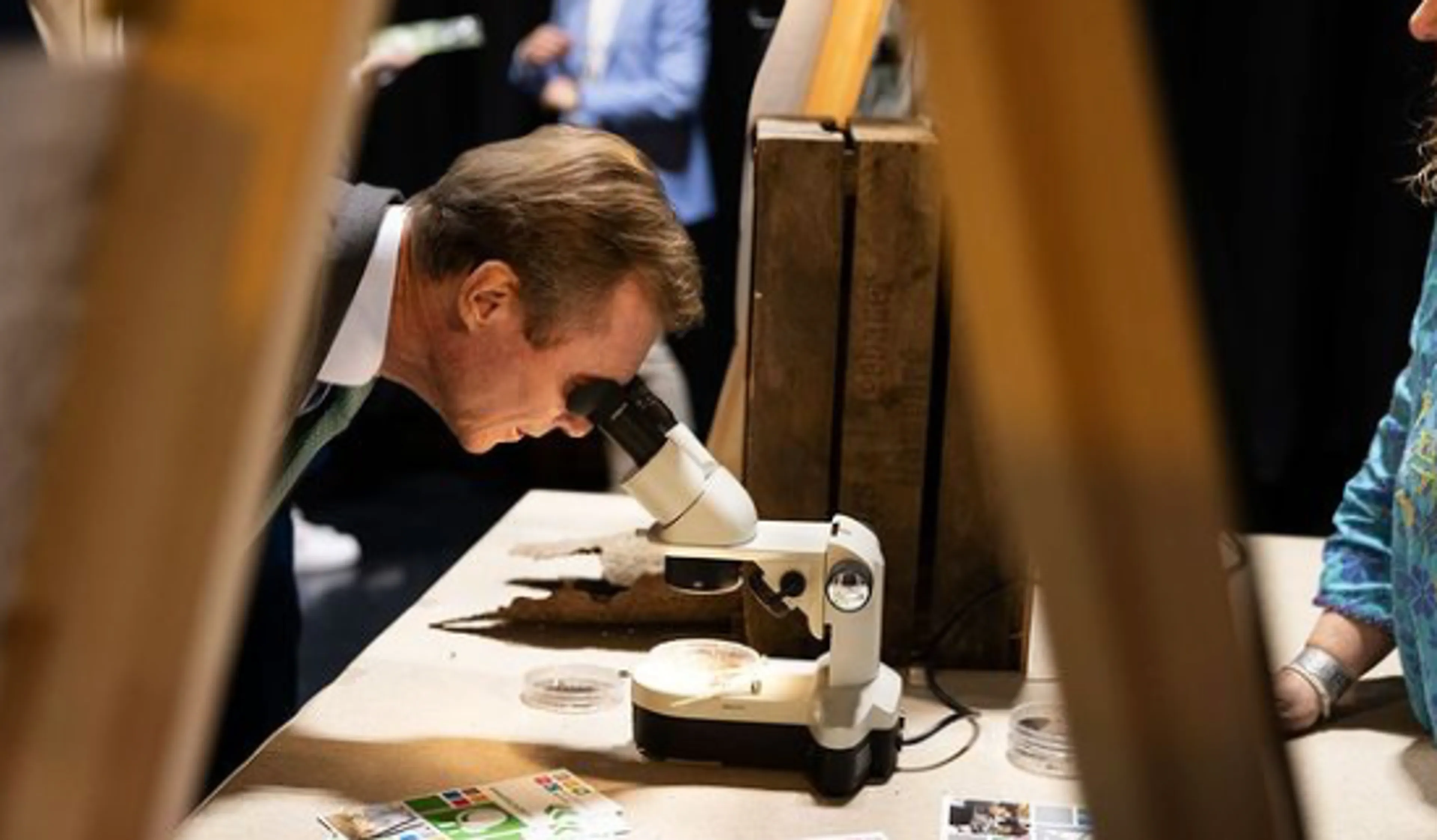 Uitgelichte afbeelding