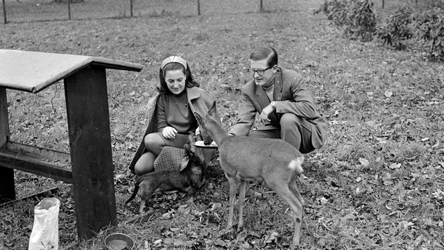 Uitgelichte afbeelding