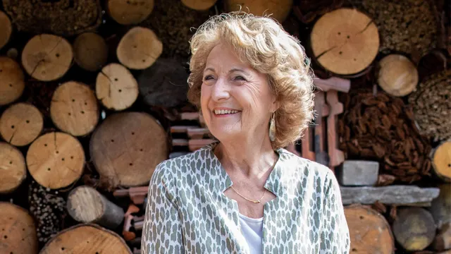 Uitgelichte afbeelding