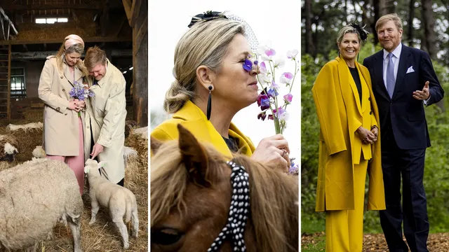 Uitgelichte afbeelding