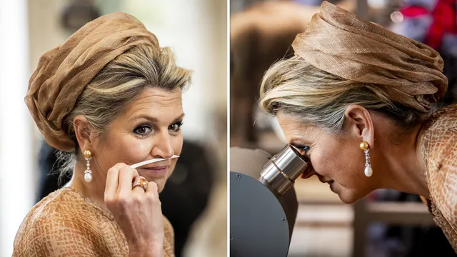 Uitgelichte afbeelding