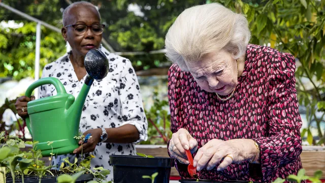 Uitgelichte afbeelding