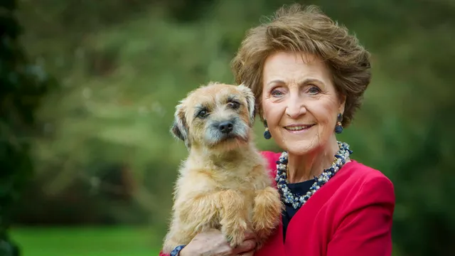 Uitgelichte afbeelding