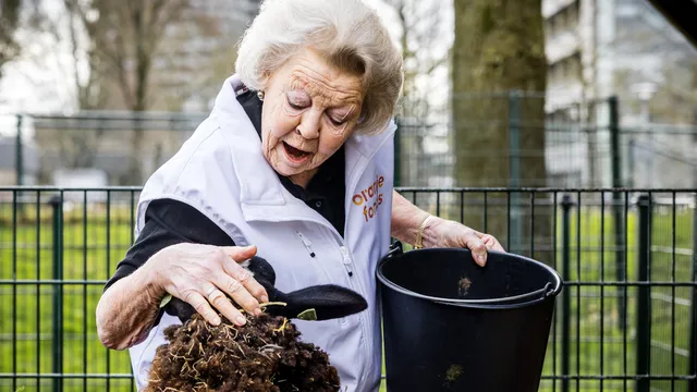 Uitgelichte afbeelding