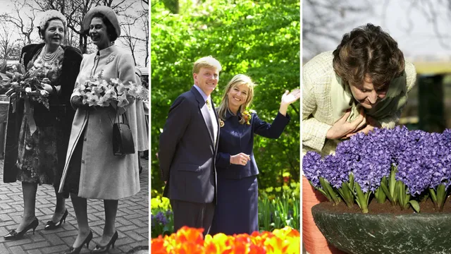 Uitgelichte afbeelding