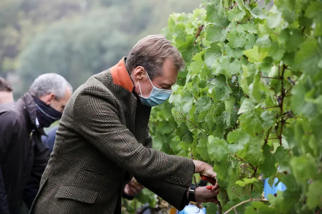 Uitgelichte afbeelding