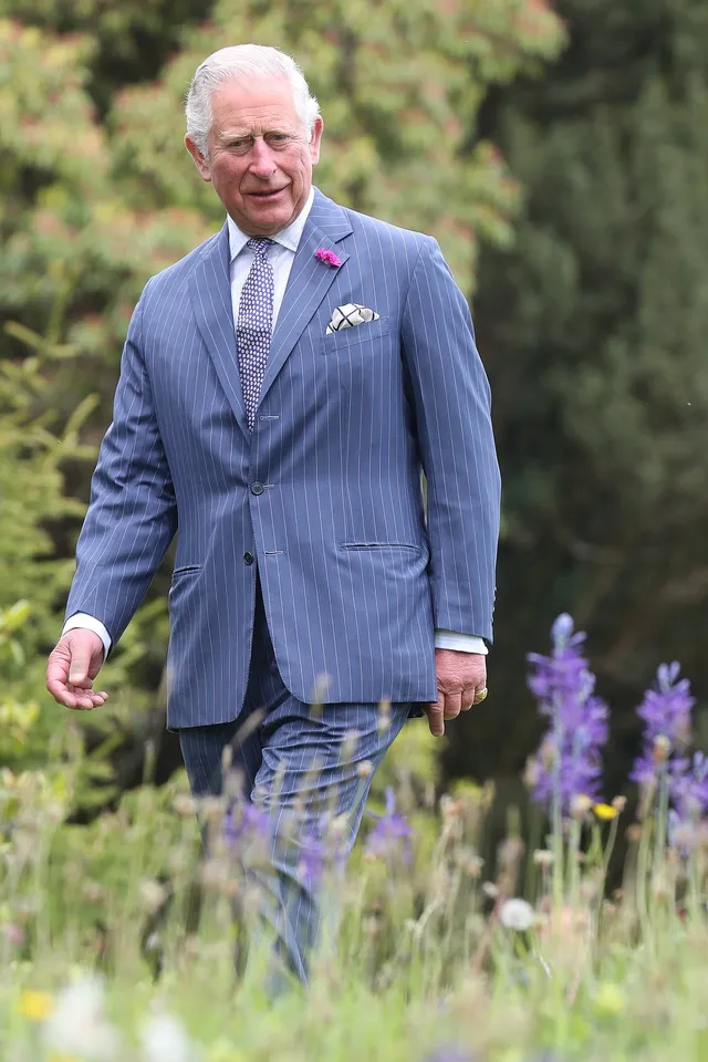 Charles wandelt door de Ierse natuur.