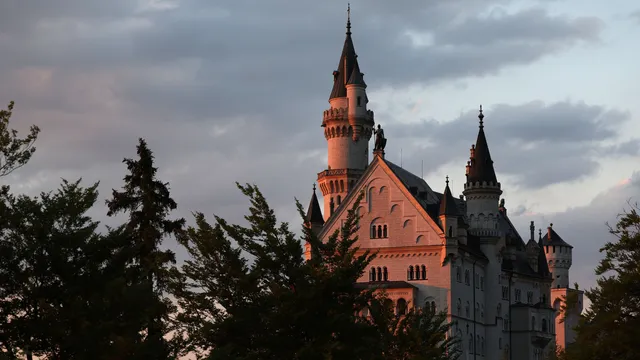 Uitgelichte afbeelding