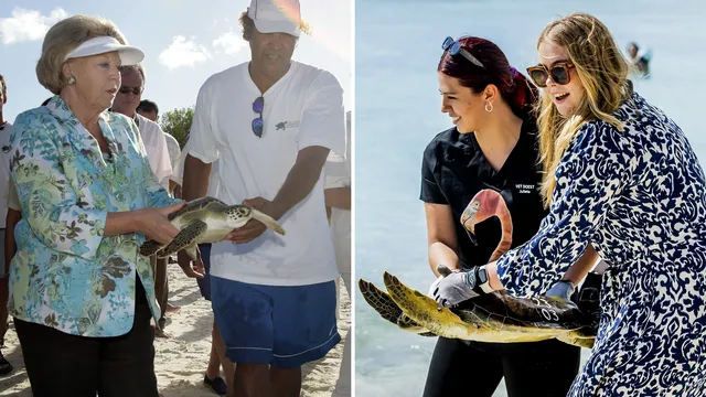 Uitgelichte afbeelding