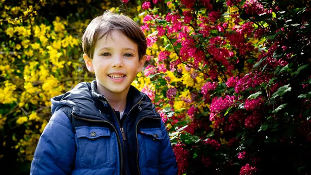 Uitgelichte afbeelding