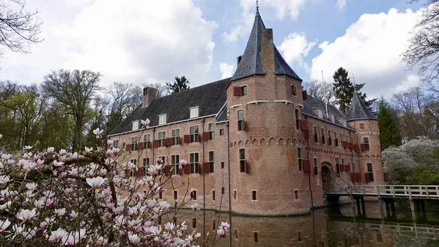 Uitgelichte afbeelding