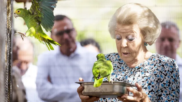 Uitgelichte afbeelding