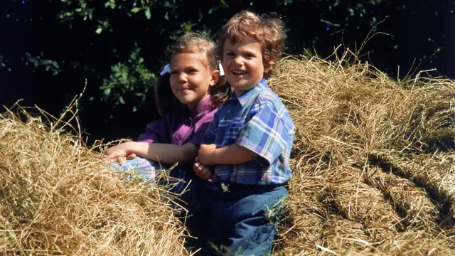 Uitgelichte afbeelding