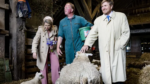 Uitgelichte afbeelding