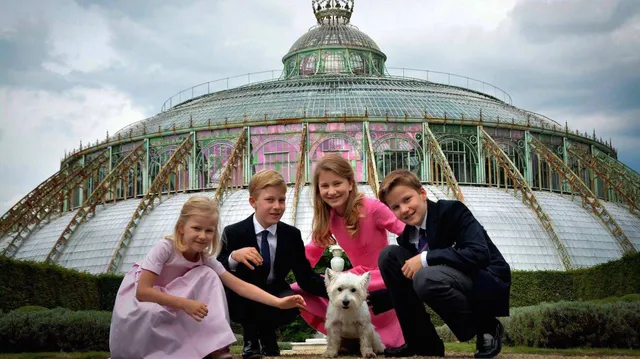 Uitgelichte afbeelding