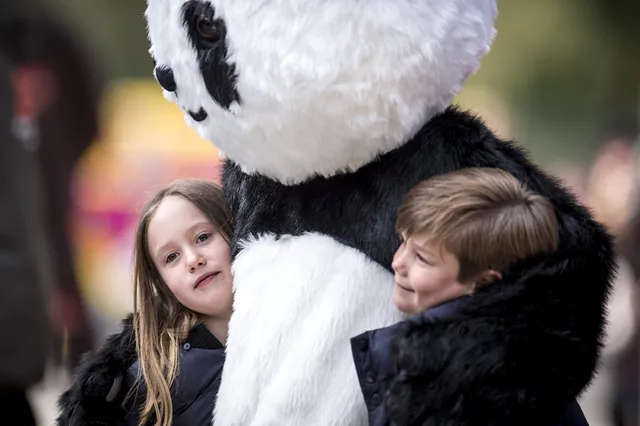 Uitgelichte afbeelding