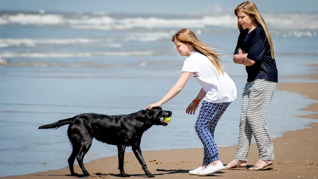 Uitgelichte afbeelding