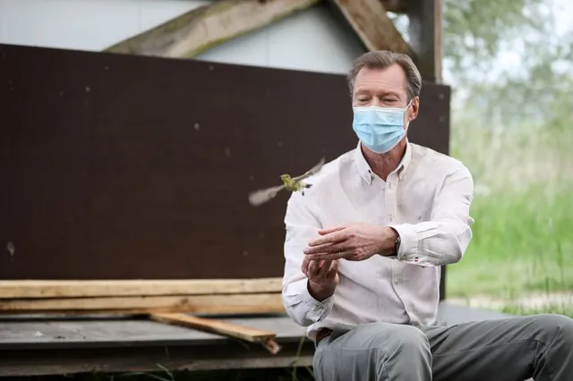 Uitgelichte afbeelding