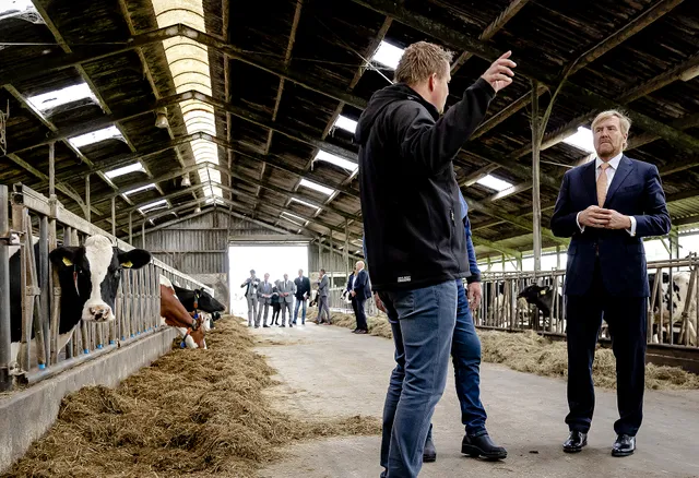 Uitgelichte afbeelding