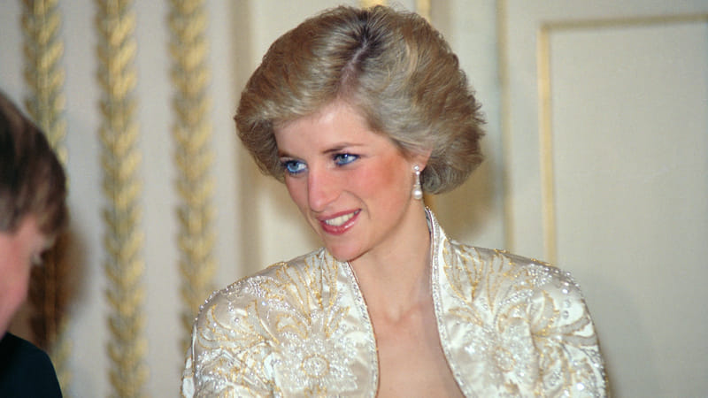 Favoriet kledingstuk Diana onder de hamer