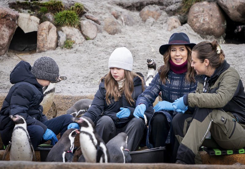 Foto's! Kroonprinses Mary met kinderen naar de dierentuin