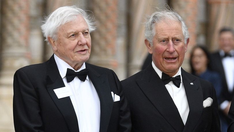 Britse bioloog David Attenborough krijgt tweede ridderorde van prins Charles