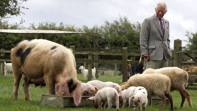 Prins Charles start zijn eigen landbouwschool in Schotland